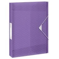 Afbeelding van Esselte Colour&#039;Breeze A4 Documentenbox voor 350 Vel Rugbreedte van 40 Millimeter Organiser Documenten Lavendel
