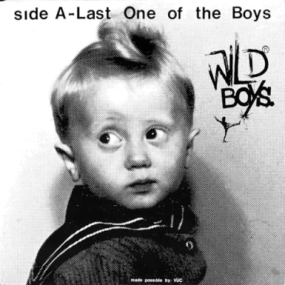 Afbeelding van Last One of the Boys/We&#039;re Only Monsters