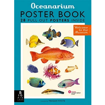 Afbeelding van Welcome To The Museum: Oceanarium Poster Book: by Loveday Trinick and illustrator Teagan White