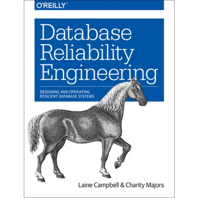 Afbeelding van Database Reliability Engineering: Designing and Operating Resilient Systems
