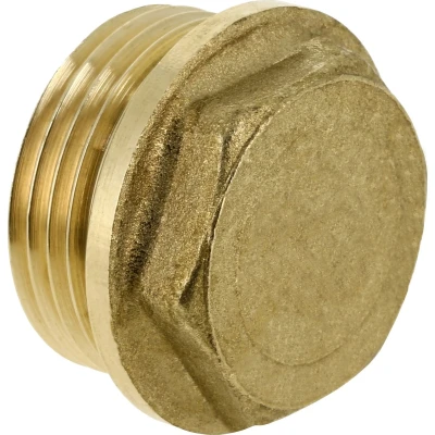 Afbeelding van Messing draadfitting plug