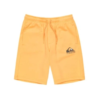 Afbeelding van Quiksilver EASY DAY Jogger Youth Trainingsbroek voor kinderen, Maat: 176, Teal green