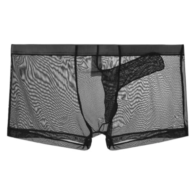 Afbeelding van lclvld Herenshorts, sexy boxer, slips, transparant ondergoed, mesh, ademend, sexy, olifant, shorts, zwart, XL