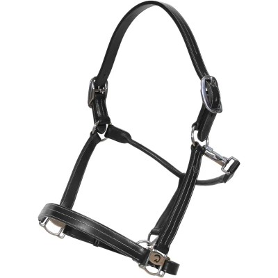 Afbeelding van Halster COB Zwart Buffelleer