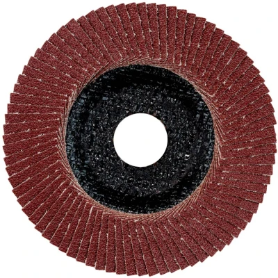 Afbeelding van Metabo Accessoires Lamellenslijpschijf Ø 115 P120 10 stuks 624394000