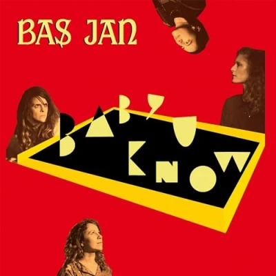 Afbeelding van Bas Jan Back To The Swamp (CD)