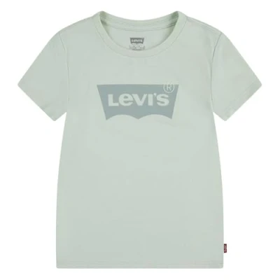 Afbeelding van Levi&#039;s Batwing TEE Tshirt print voor kinderen, Maat: 152, Celadon