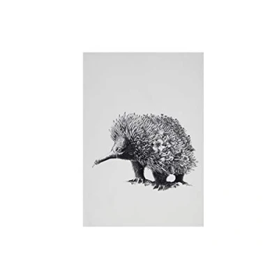 Afbeelding van Maxwell &amp; Williams Marini Ferlazzo Theedoek met Mierenegel, 100% Katoenen Keukendoek, Wit, 50 x 70 Centimeter