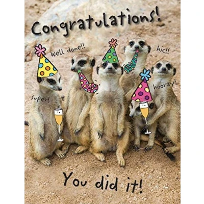 Afbeelding van Piccadilly Greetings Humor Occasion Card Gefeliciteerd 8 x 6 inch, beigebruingeelzwart