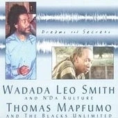 Afbeelding van Wadada Leo Smith &amp; Thomas Mapfumo Dreams And Secrets (CD)