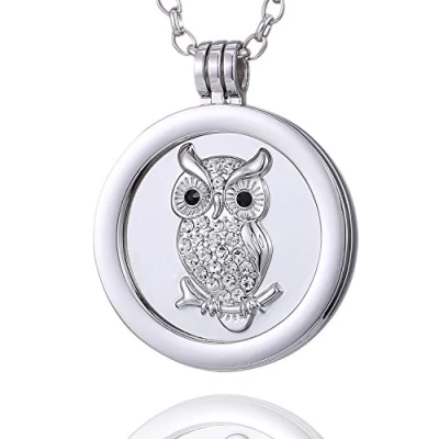 Afbeelding van Morella damesketting 70 cm roestvrij staal met hanger en coin uilmotief zirkoniasteentjes zilver in sieradenzakje