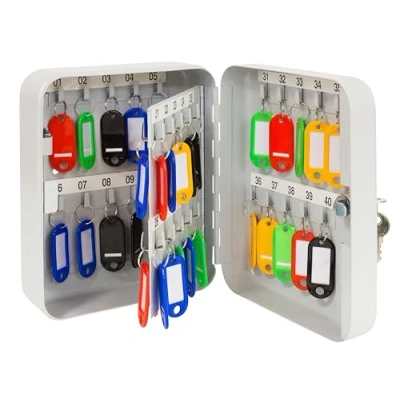 Afbeelding van Arregui PLL40 Sleutelkast met vaste haken, 40 sleutels, stalen veiligheidsbox voor meegeleverde sleutelhangers, eenvoudige wandmontage, 20 x 16 8 cm, grijs