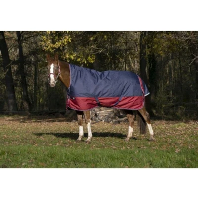 Afbeelding van EQUITHÈME Deken Tyrex 1200D 150g met Halve Hals Navy 125/175