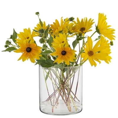 Afbeelding van TREND FOR HOME glazen cilinder H: 15 cm bloempot glas cilindervorm vaas rond decoratief voor kaarsen doorzichtige ronde tulpen diameter