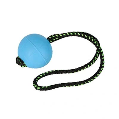 Afbeelding van Dingo Bollen BIBI voor training # 70, met handvat 30 cm, kleur blauw, drijvend bal, rubber, apportspel hond 17253