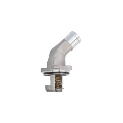 Afbeelding van Calorstat By Vernet Thermostaat TH6955.92J