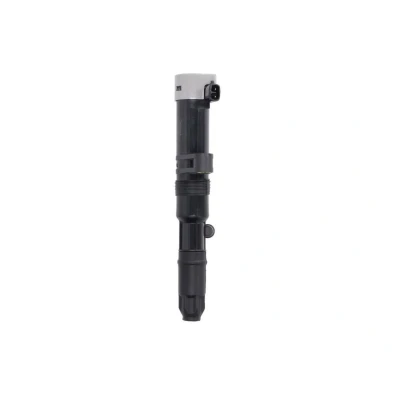 Afbeelding van Delphi Diesel Bobine CE20014 12B1