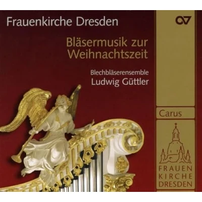 Afbeelding van Blechblaserensemble Ludwig Güttler Blasermusik Zur Weinachtszeit (CD)