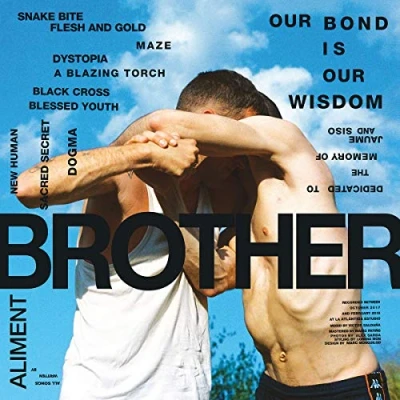 Afbeelding van Aliment Brother (LP)