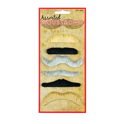 Afbeelding van 6 verschillende valse snorren Fancy jurk accessoire