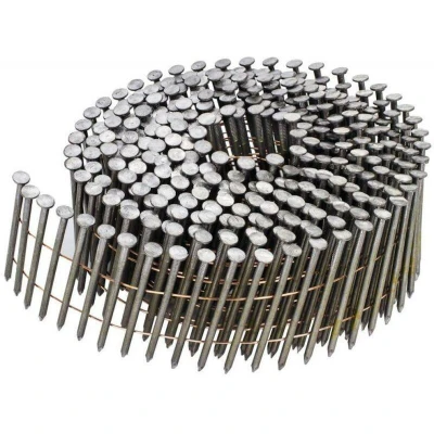 Afbeelding van DeWalt Accessoires Rolspijkers 2.5 64 Recht Helder 9m DNF2564E