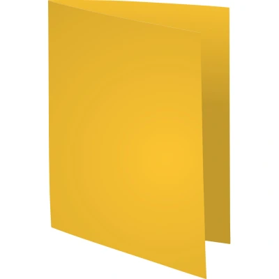 Afbeelding van Exacompta ref. 850005E Set van 250 pastelkleurige inlegmappen SUPER 60 g/m2 in PEFC™ gecertificeerde mappen Afmetingen: 22 x 31 cm voor A4 kanarie kleurig