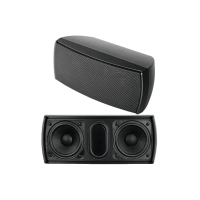Afbeelding van Omnitronic OD 22T Buitenspeakers 100V Zwart