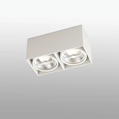 Afbeelding van Faro Lighting Tecto 2 Light Square Surface Mounted Downlight Wit