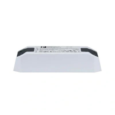 Afbeelding van Paulmann 97762 transformator elektronische halogeen + LED 0 50Watt driver wit voorschakelapparaat