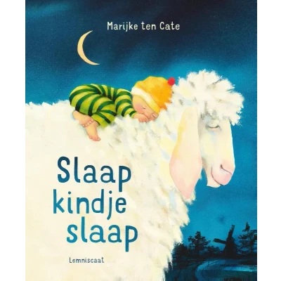 Afbeelding van slaap kindje (Hardback)