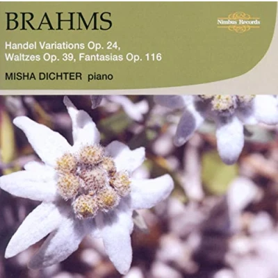 Afbeelding van Misha Dichter Brahms: H,Ndel Variations, Waltzes (CD)
