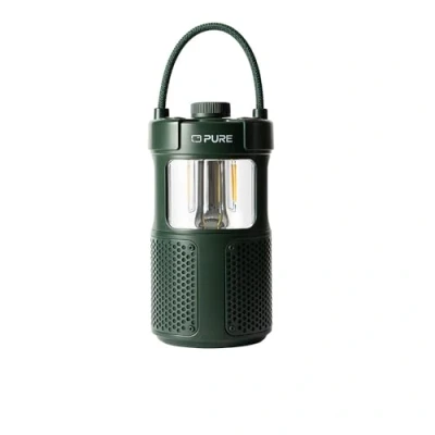 Afbeelding van Pure 252584, 2 weg, 3,81 cm, 20 W, Draadloos, USB Type C, Groen