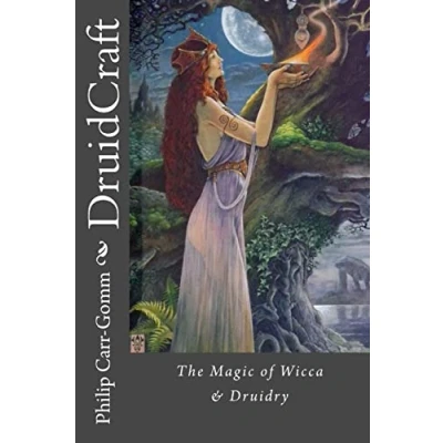 Afbeelding van DruidCraft: The Magic of Wicca &amp; Druidry