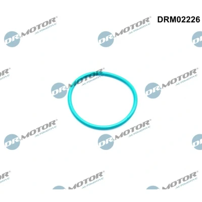 Afbeelding van Dr.Motor Automotive EGR klep pakking DRM02226