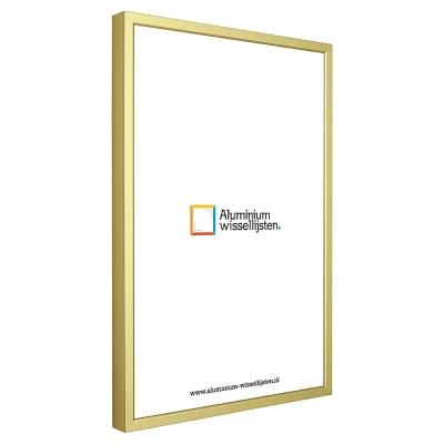 Afbeelding van Sion A1 cm champagne goud