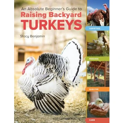 Afbeelding van An Absolute Beginner&#039;s Guide to Raising Backyard Turkeys: Varieties, Feeding, Shelter, Care