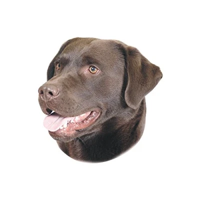 Afbeelding van Nobby 93263 sticker Bruin 2 stuk(s)