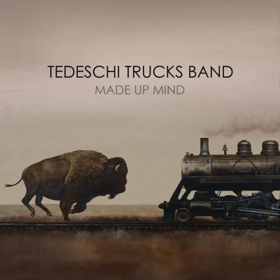 Afbeelding van Tedeschi Trucks Band Made Up Mind (2 LPs)