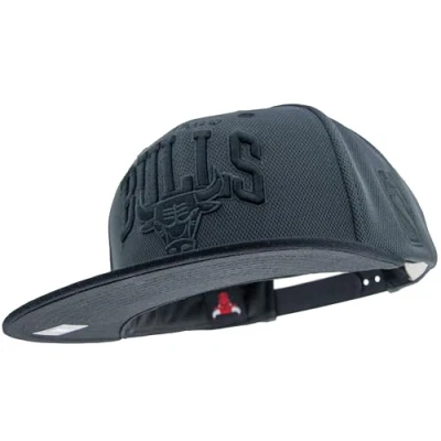 Afbeelding van Mitchell &amp; Ness NBA Resist II 3D Arch Snapback Chicago Bulls, grijs zwart mesh, One size