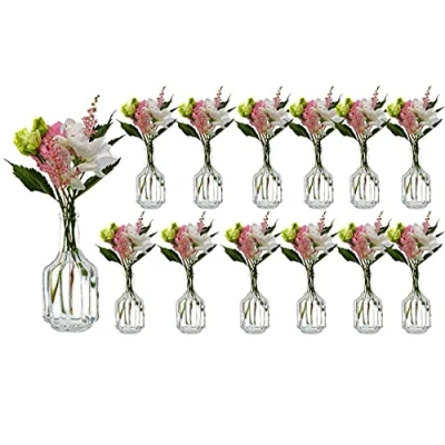 Afbeelding van kleine vazen ​​glazen flessen HALSI glazen flesjes Landhuis Vintage vaas fles glas helder mini decoflessen ​​(6,12)