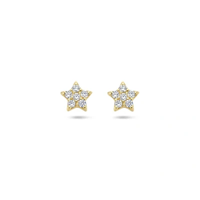 Afbeelding van 14K geelgoud oorknoppen zirkonia ster 4027981 Oorbellen horloge Goudkleur