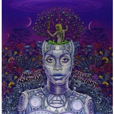 Afbeelding van Erykah Badu New Amerykah Part T