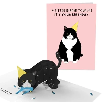 Afbeelding van Central 23 pop up verjaardagskaarten voor vrouwen en mannen 3D kaart kattenliefhebbers grappige kat verjaardagskaart mama papa dochter zoon zus broer