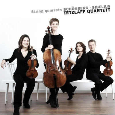 Afbeelding van String Quartet In D Minor Op. 56/St