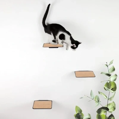 Afbeelding van LucyBalu® Kattentrap Set van 3 Klimwand Kat Kattenladder Muurplank Katten Klimmuur Binnen Muurplanken Kattenwand Wandplank Antraciet