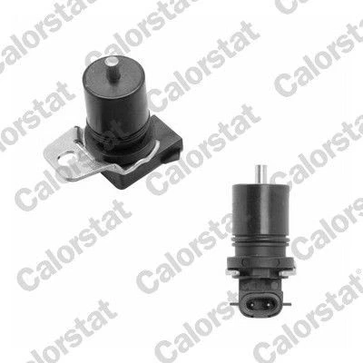 Afbeelding van Calorstat By Vernet Nokkenas positiesensor CS0022