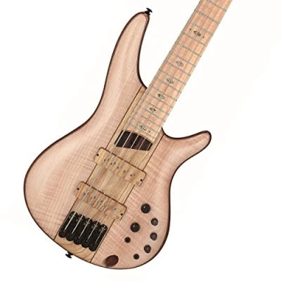 Afbeelding van Ibanez SR5FMDX2 Premium Natural Low Gloss 5 snarige elektrische basgitaar met gigbag