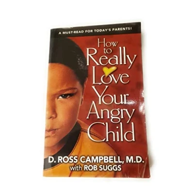 Afbeelding van How to Really Love Your Angry Child