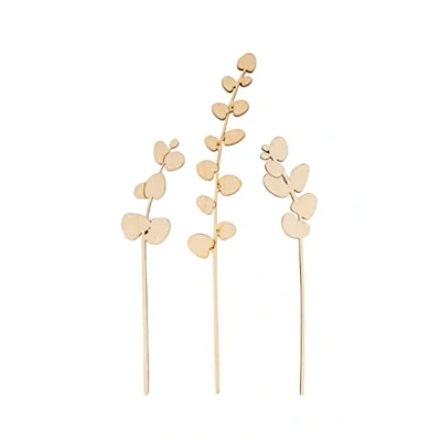 Afbeelding van Rayher Houten silhouette eucalyptus 64528505 maat 15+20cm