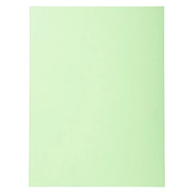 Afbeelding van Exacompta Dossiermap Forever 180, Ft A4, Pak Van 100, Lichtgroen